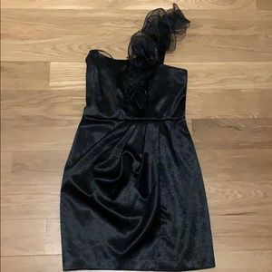 Jill Stuart dress worn 2x